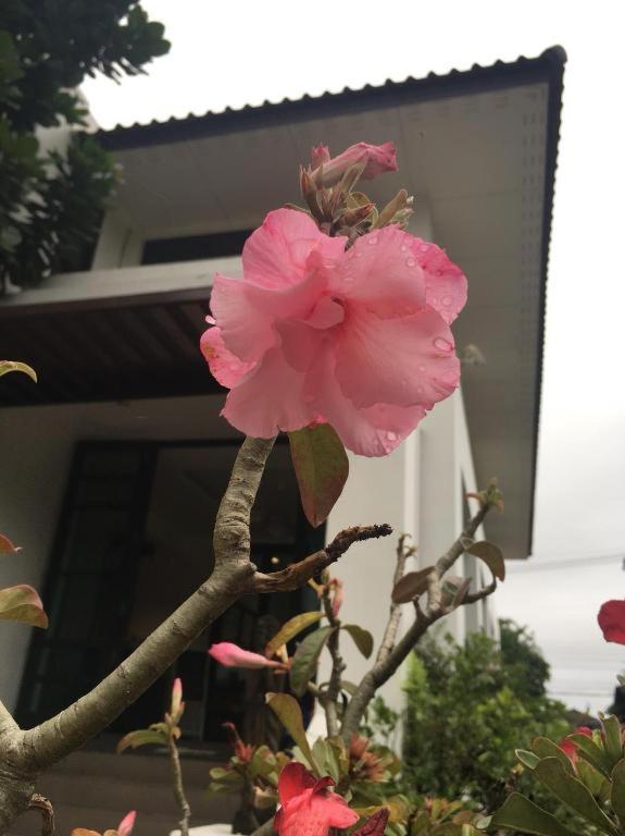 Baan Nan B&B Hotel Exterior photo